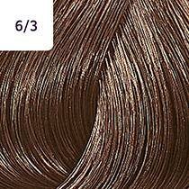 Wella Color Touch 60 Rich Naturals 6/3 dunkelblond gold 60 ml